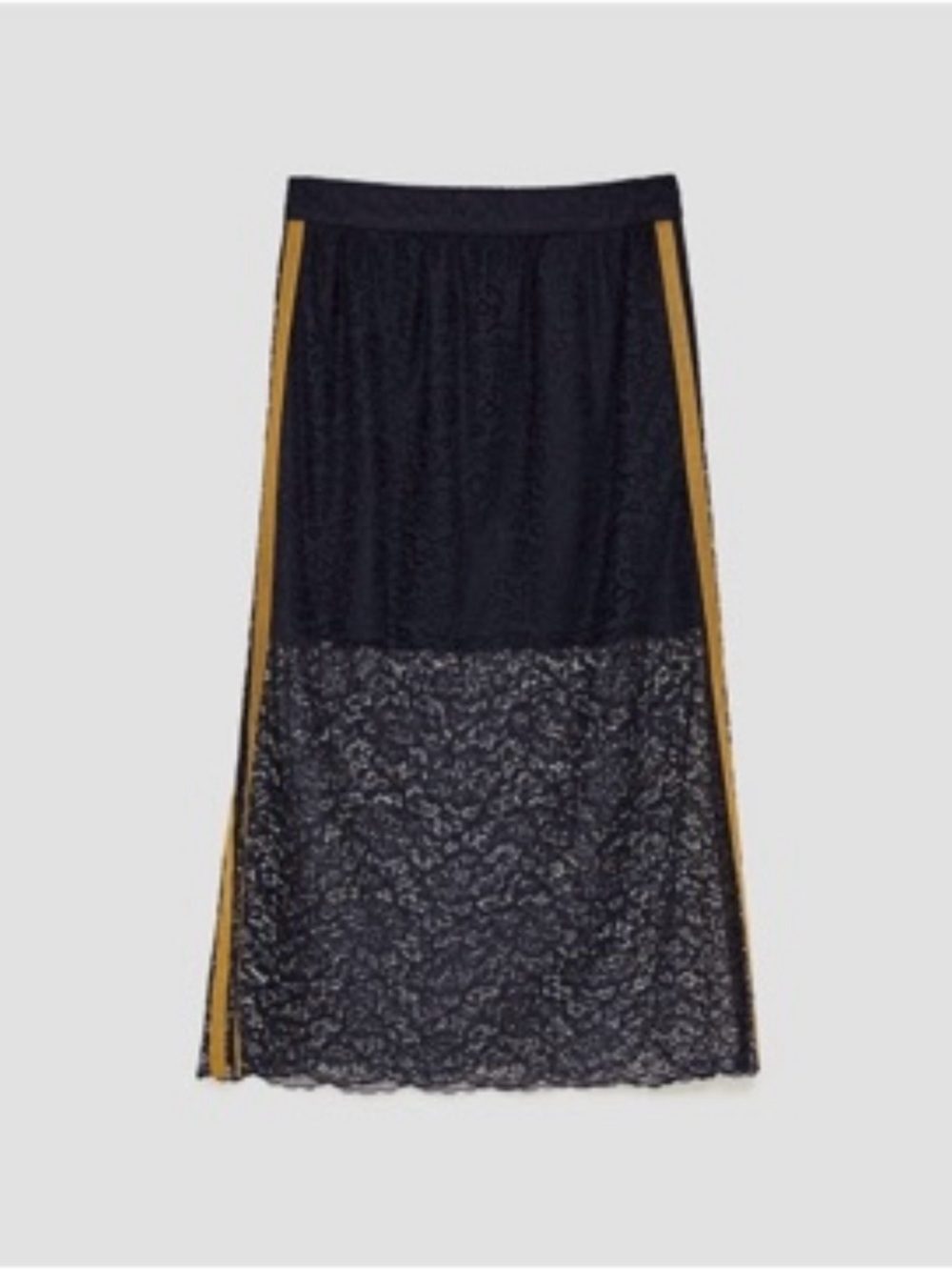 Zara Semi-Sheer Lace Skirt